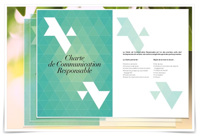 100106 charte communication responsable