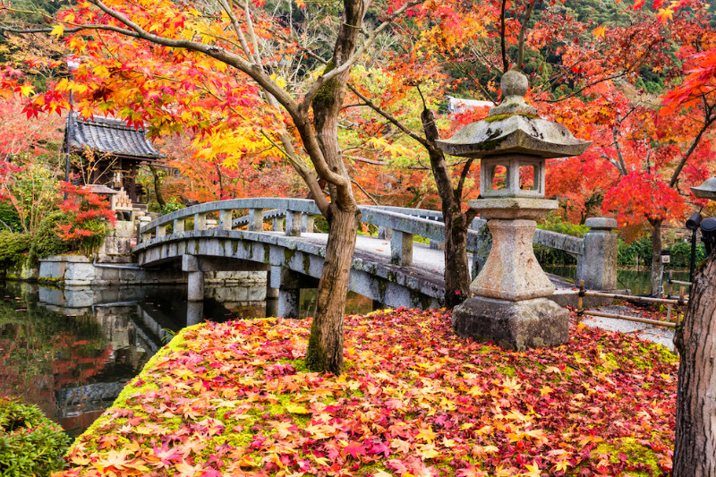 Tableau Japonais Érable en automne